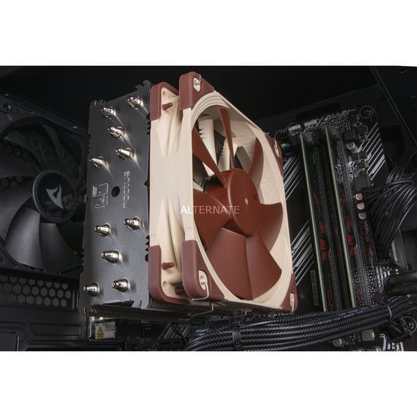 ALTERNATE Gaming-PC Special Edition • RTX 5060 • AMD Ryzen™ 5 5600 • 16 GB RAM