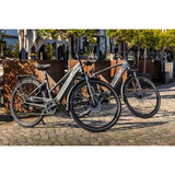 FISCHER Fahrrad Viator 5.0i Damen, Pedelec