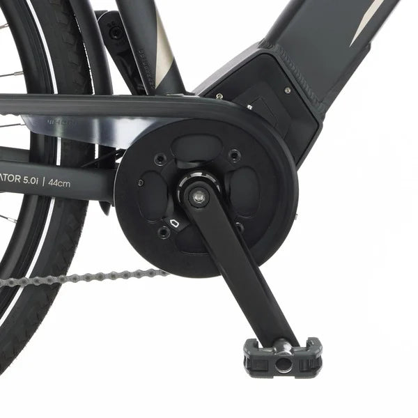 FISCHER Fahrrad Viator 5.0i Damen, Pedelec