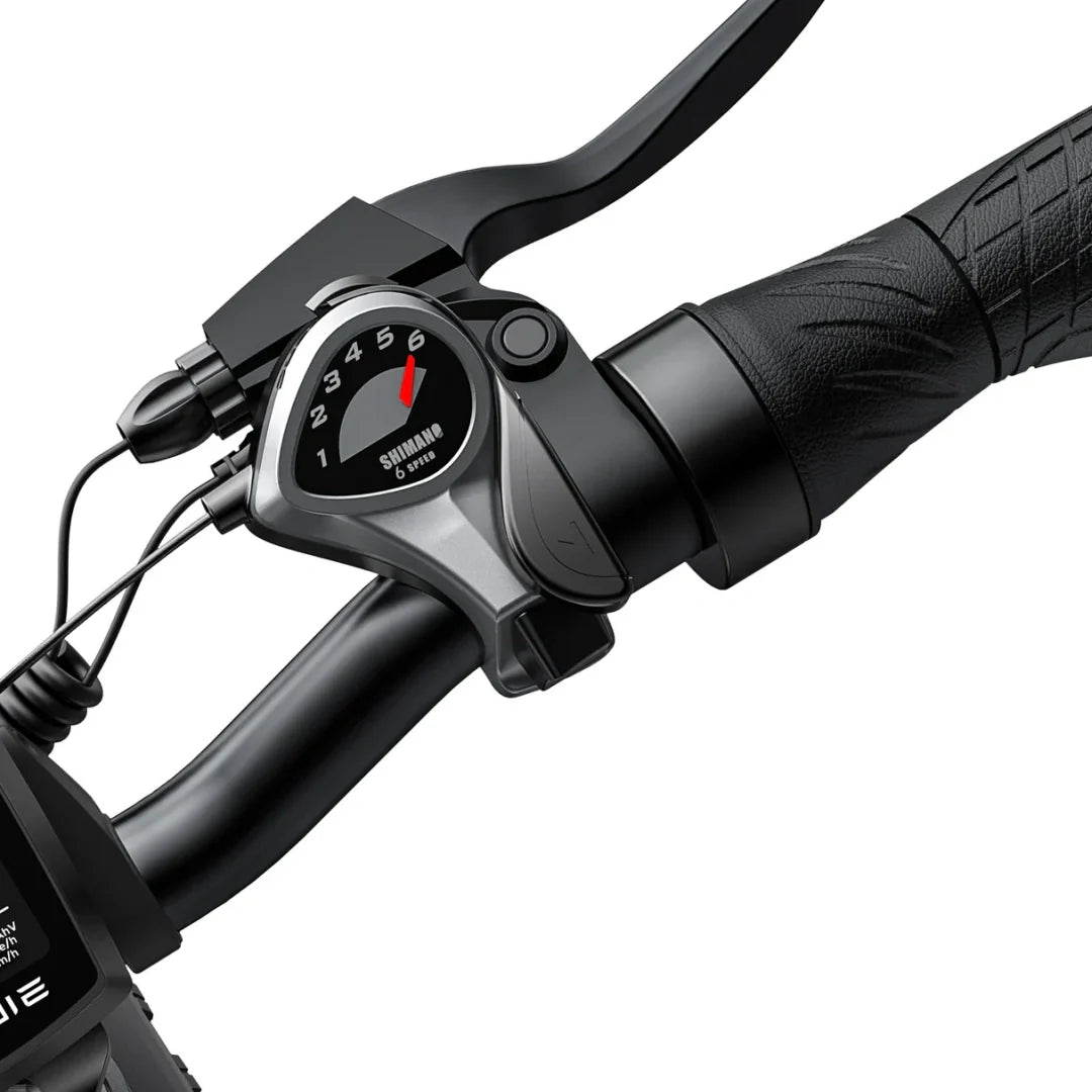 Engwe EP-2 Pro Fat Tire Folding Electric Bike