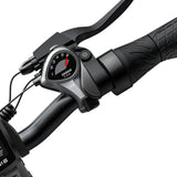 Engwe EP-2 Pro Fat Tire Folding Electric Bike